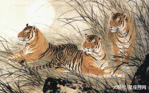 熟生巧巧则变变化多端不絮乱打一生肖仔细释义、解释与落实、精准解答解释落实