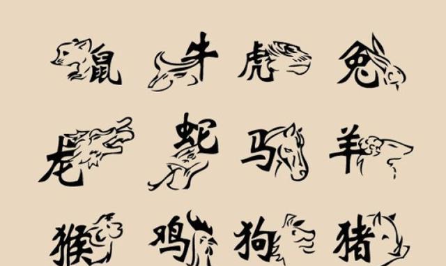 熟生巧巧则变变化多端不絮乱打一生肖仔细释义、解释与落实、精准解答解释落实