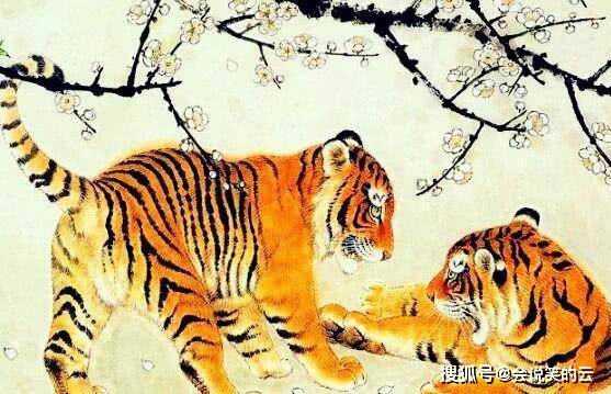 熟生巧巧则变变化多端不絮乱打一生肖仔细释义、解释与落实、精准解答解释落实